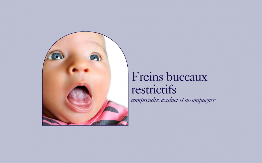 Freins buccaux restrictifs